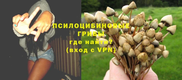spice Киренск