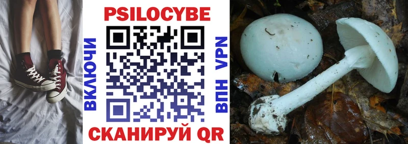 Купить закладки  Рославль  Псилоцибиновые грибы Cubensis 
